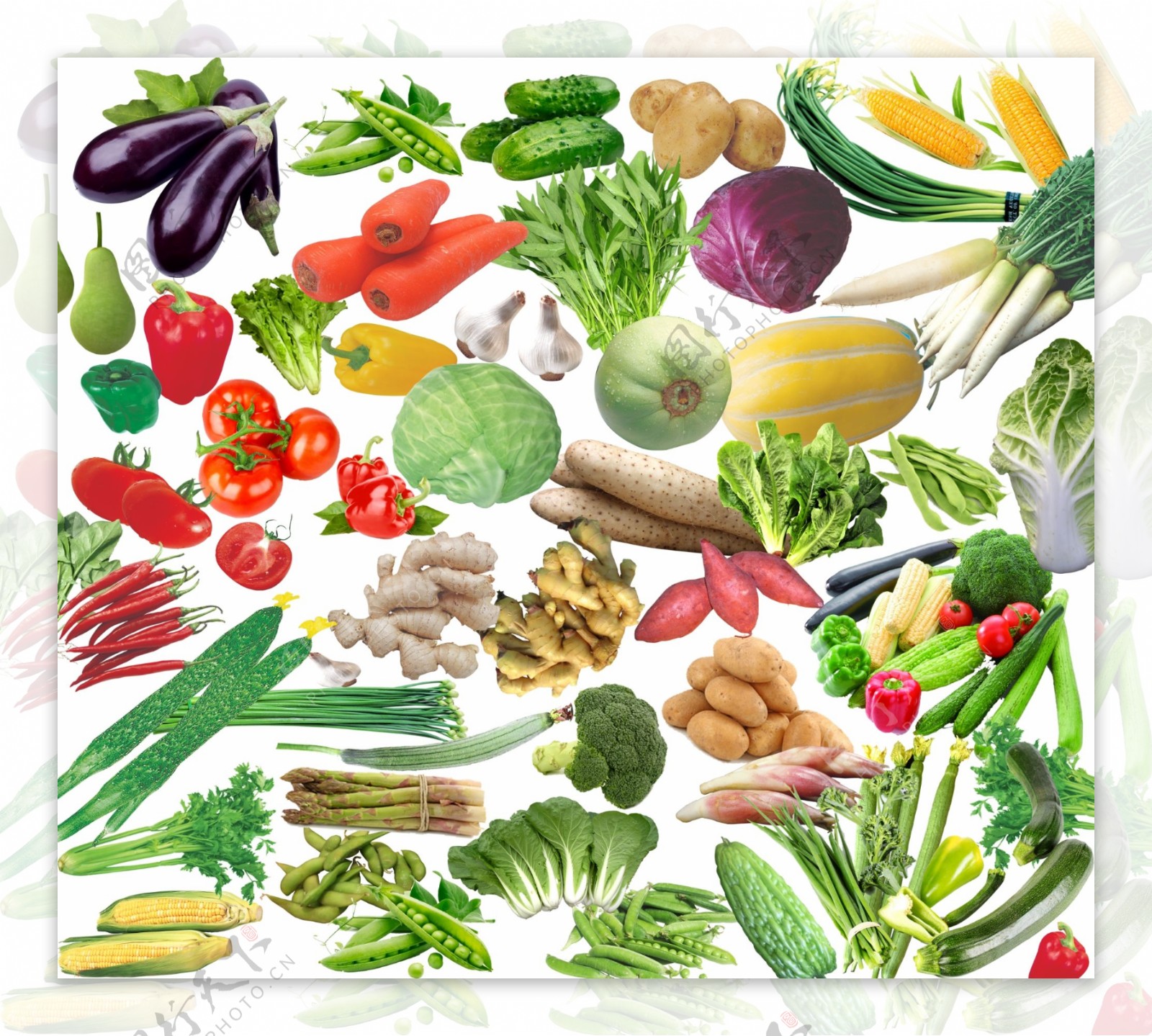 各种蔬菜PSD分层素材免费下载图片