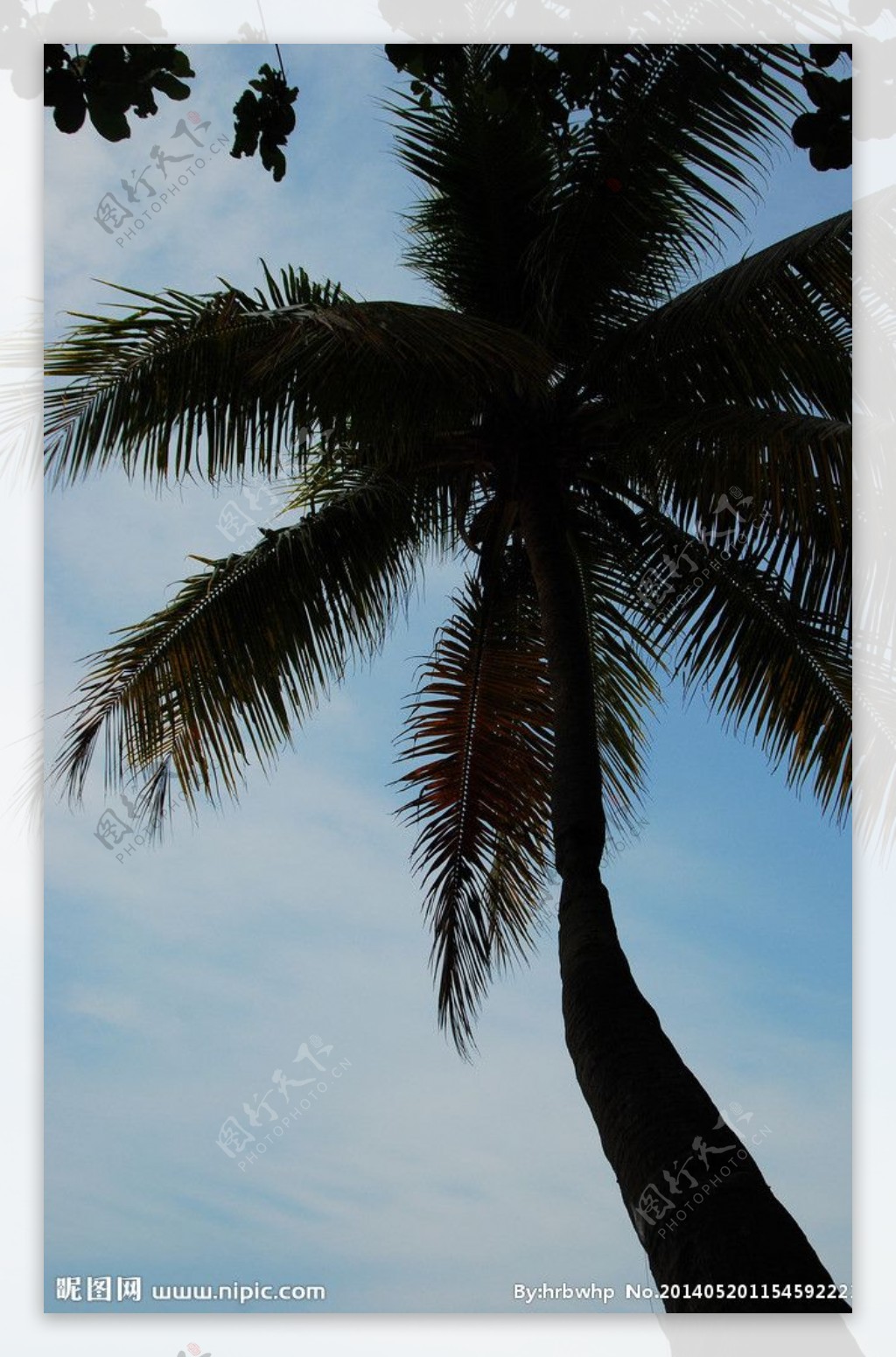 美丽的大海沙滩椰树自然风景高清图片大全-壁纸图片大全
