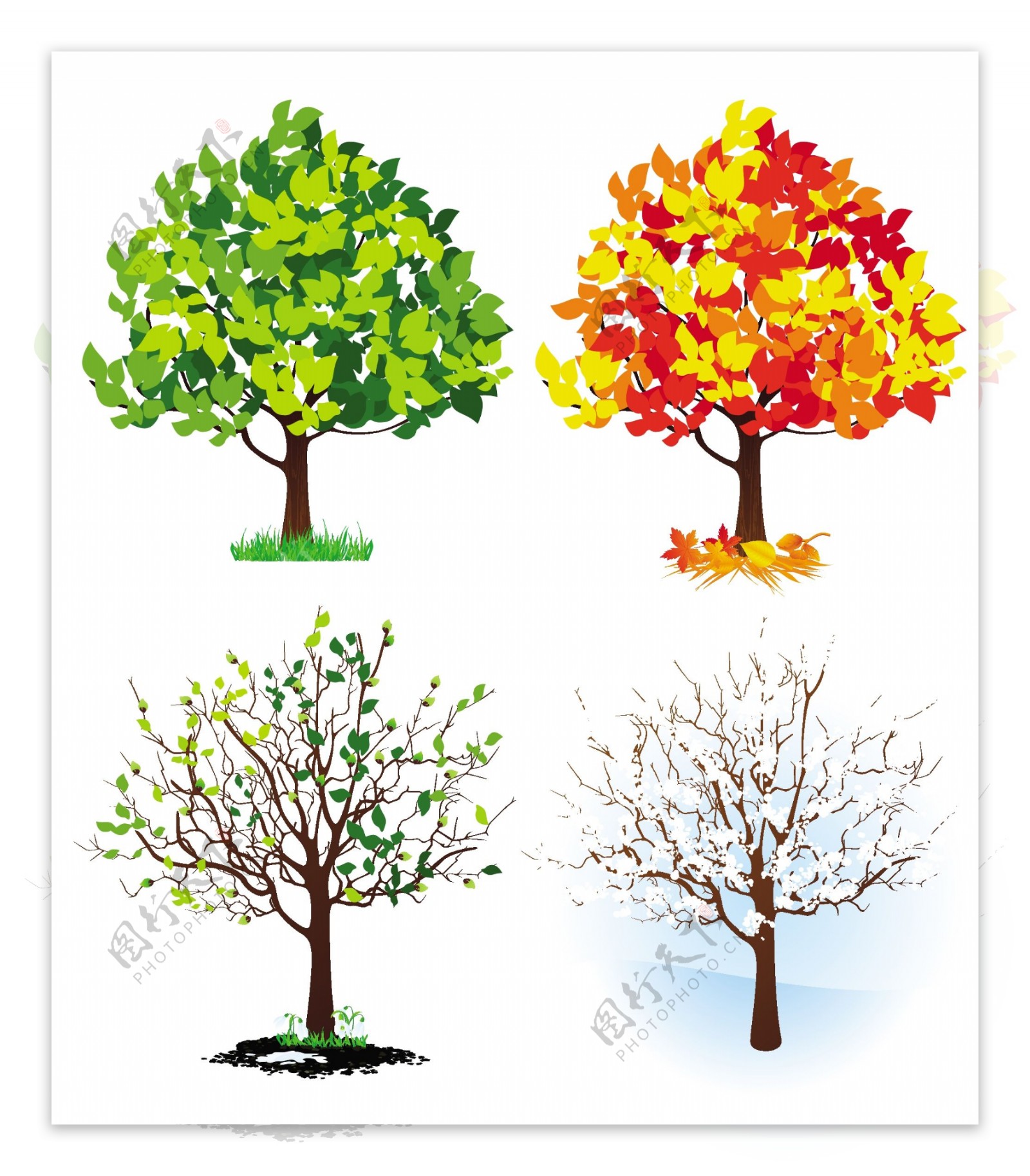树木插图矢量素材图片