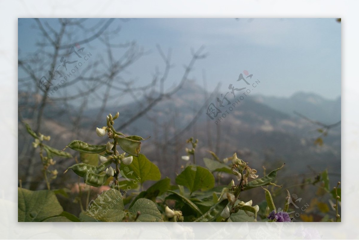 大洼小景图片