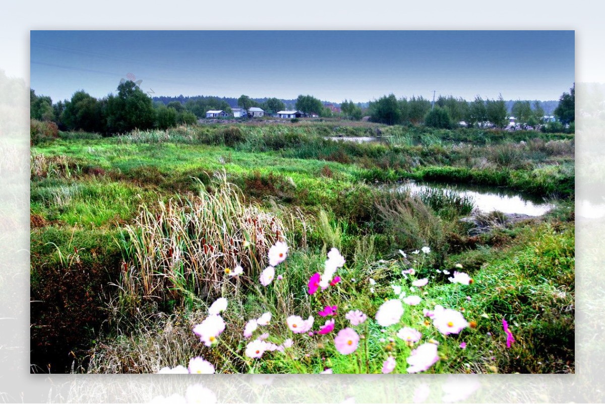 海伦农场湿地图片