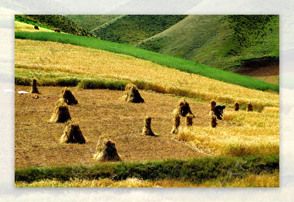 甘肃省祁连山秋景图片