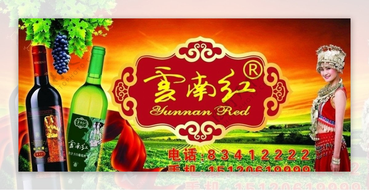 云南红红酒招牌设计图片