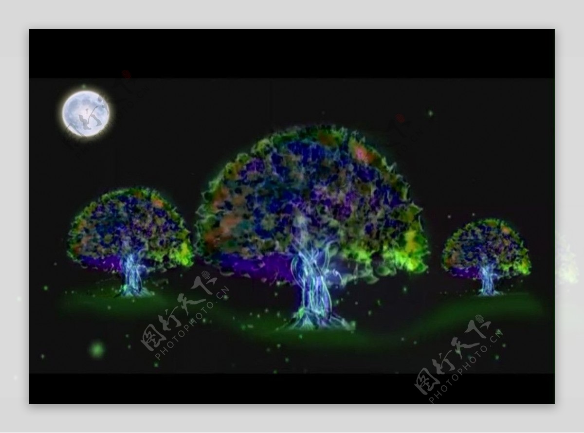 月亮荧光树视频素材