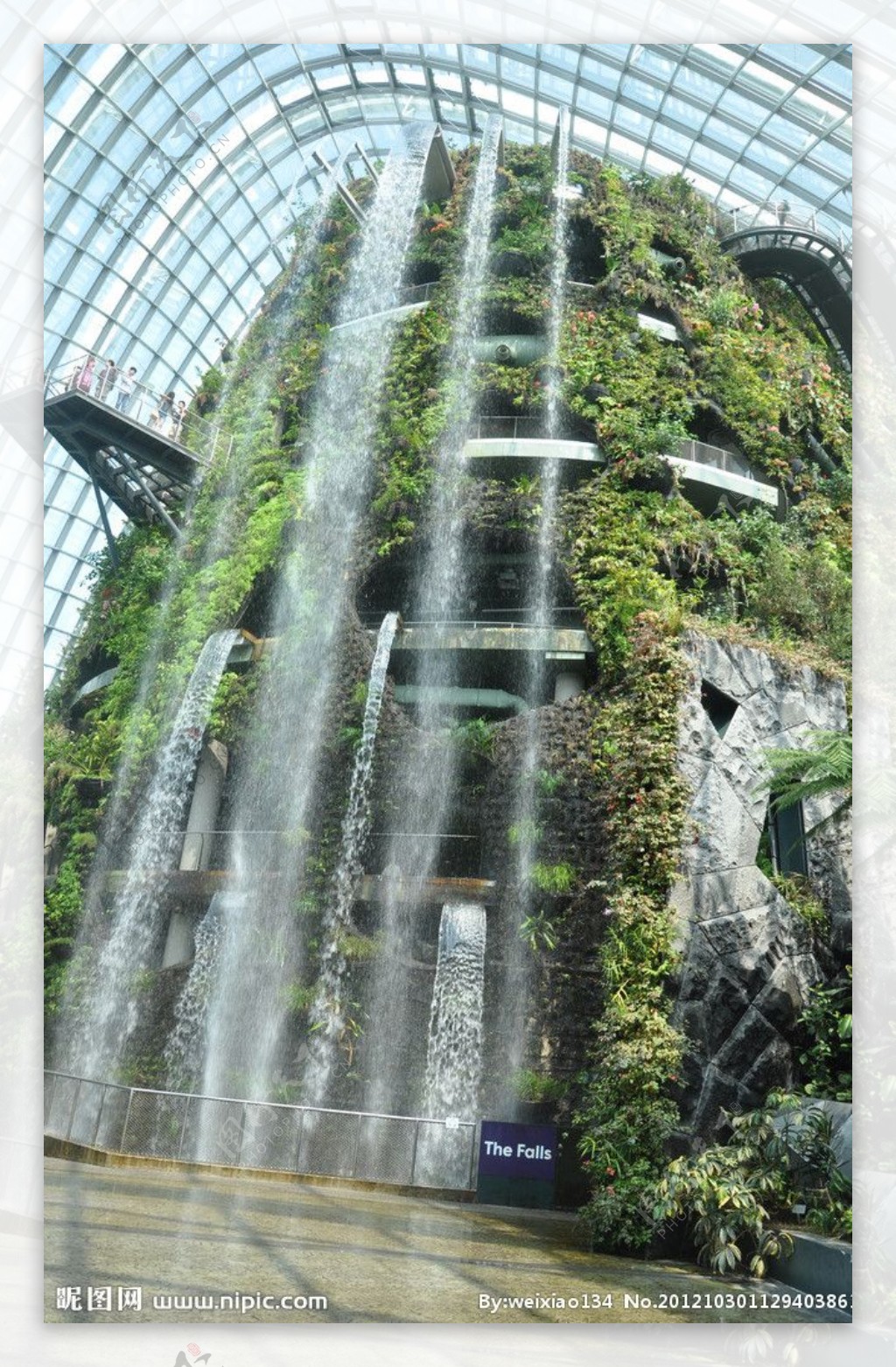 新加坡植物园图片