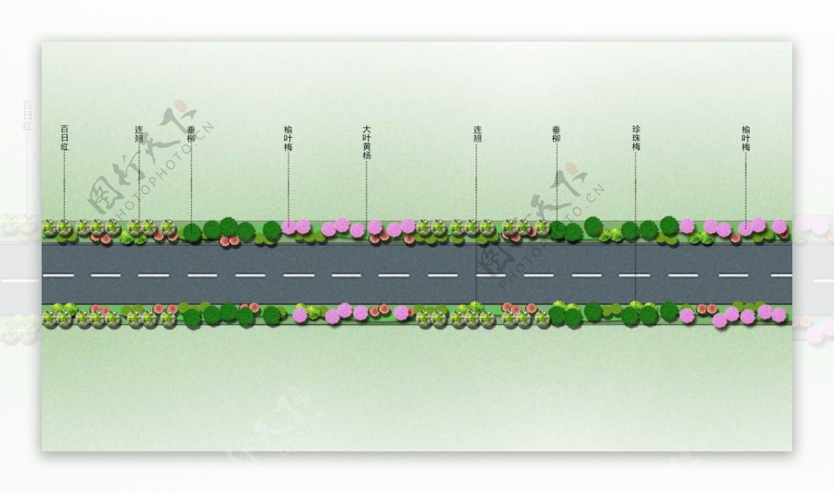 道路绿化标准段设计方案图片