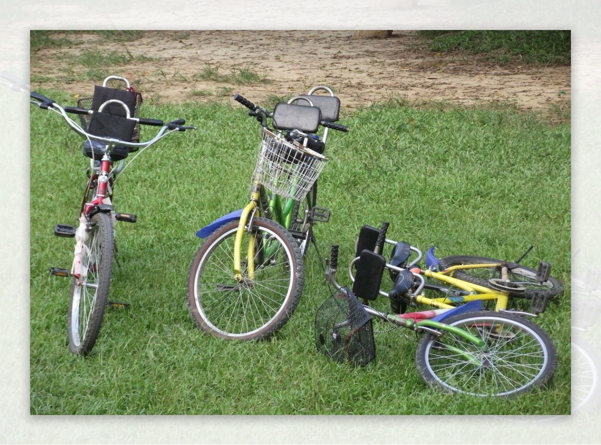 草地自行车旅游图片