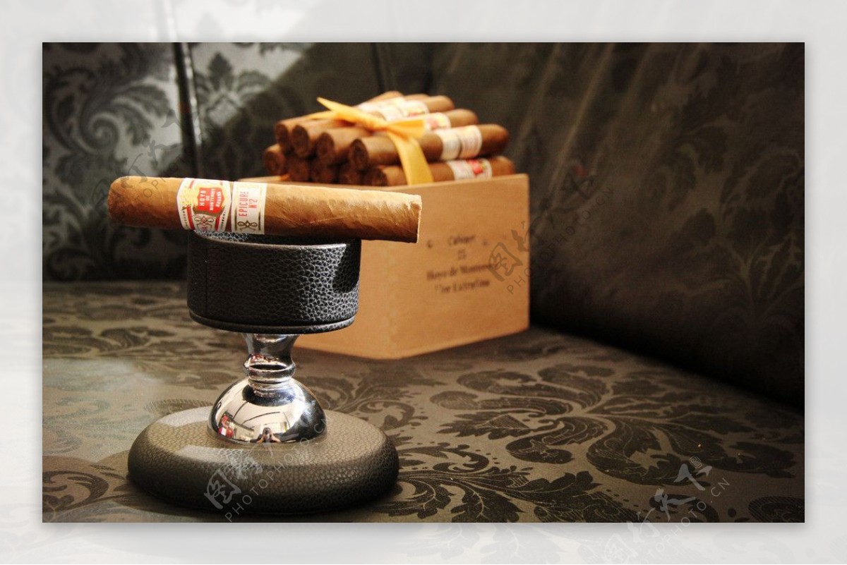 蒙特利享乐2型雪茄图片