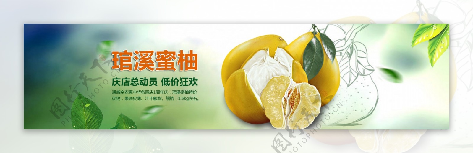 柚子广告图图片