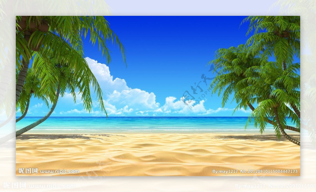 椰树风景图片