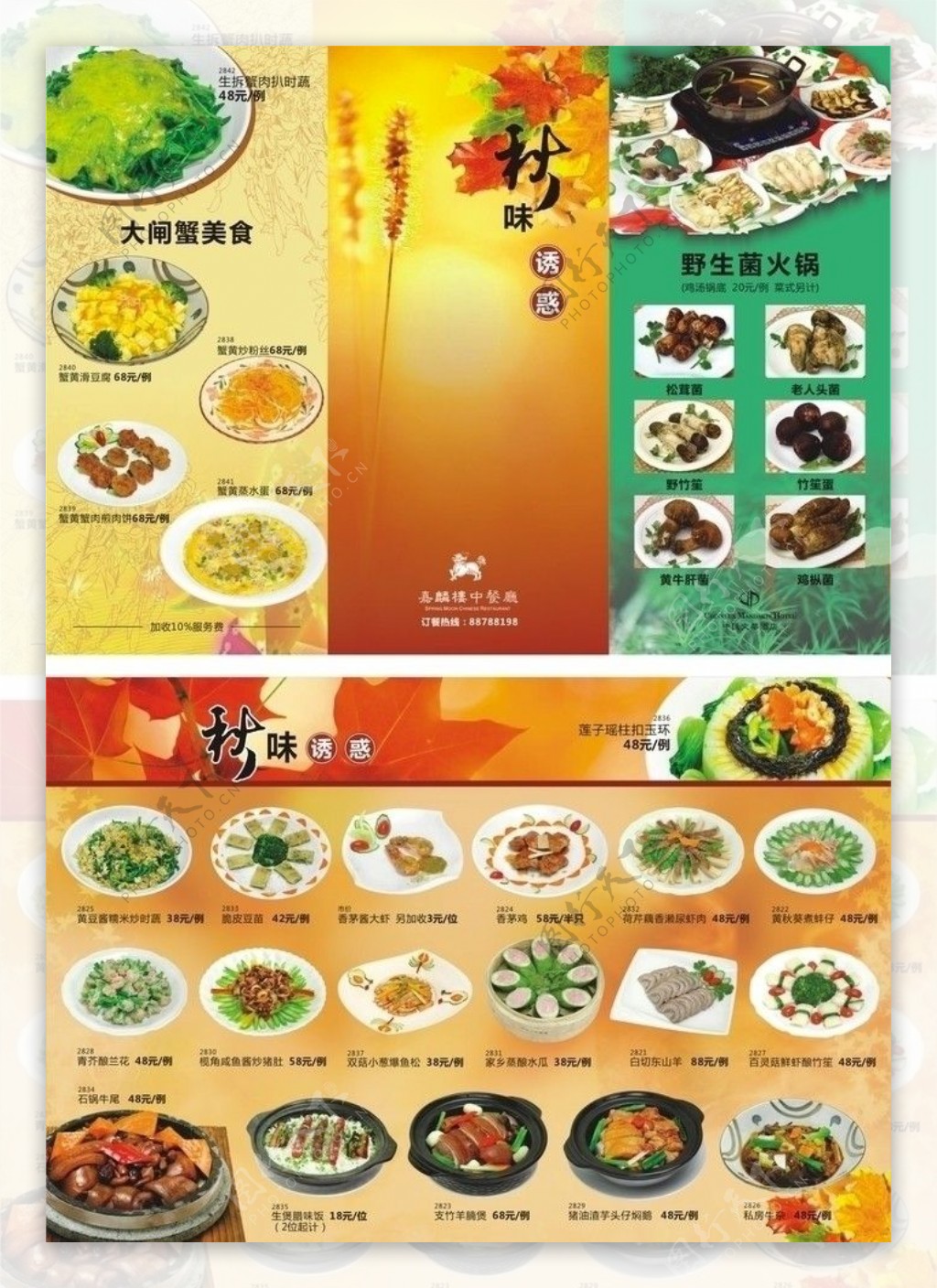 中餐菜谱折页图片