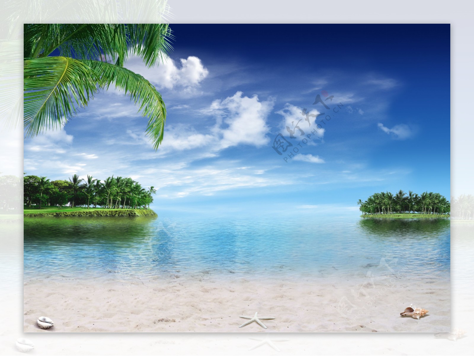 海边美景设计椰岛图片