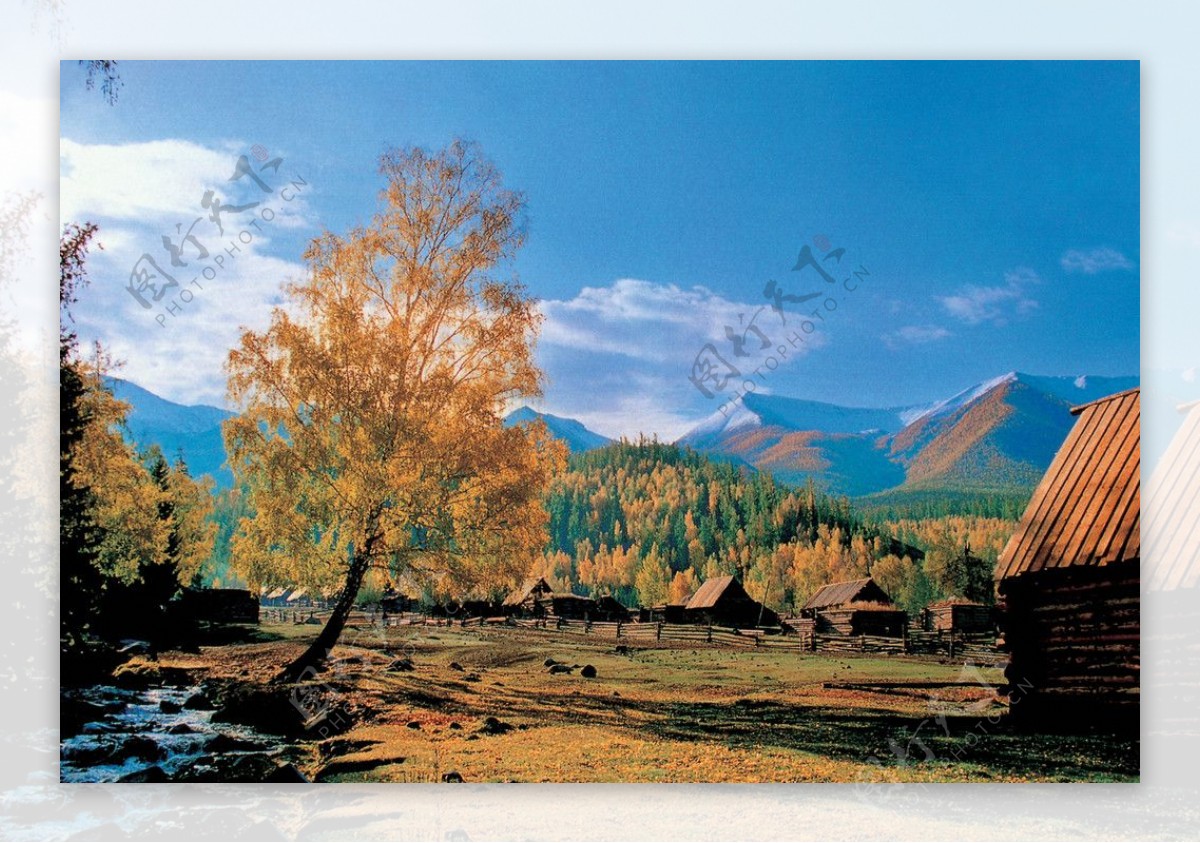 新疆文化图片
