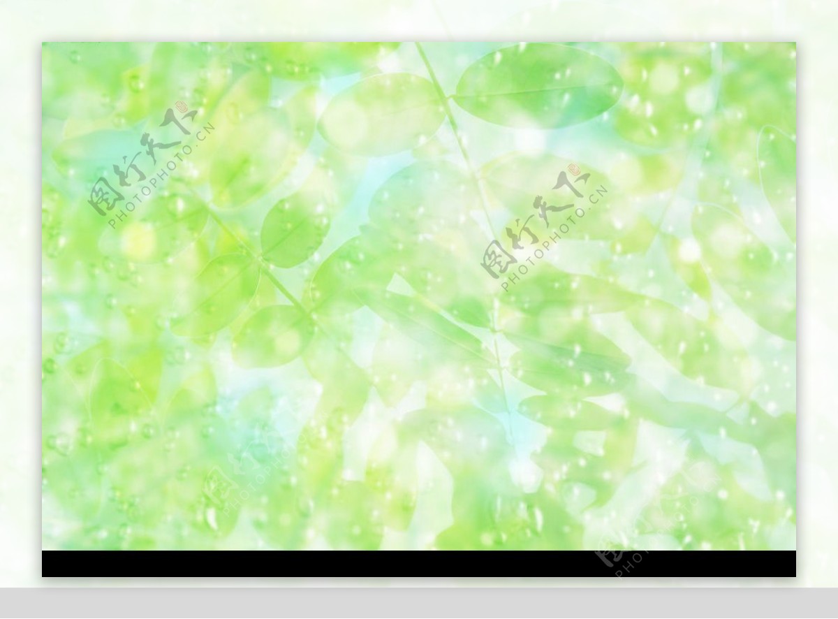 水叶子绿色天空水珠图片