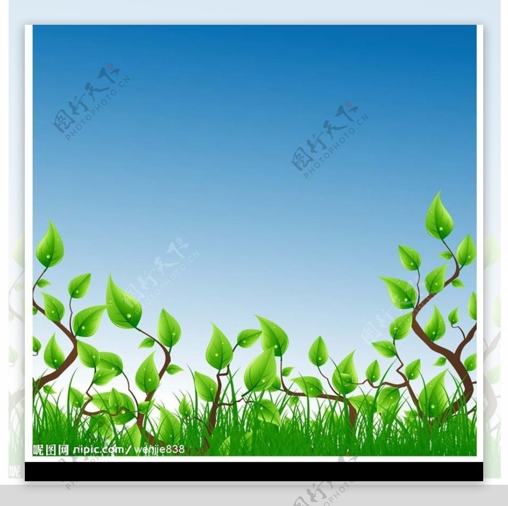 春天素材精美亮丽的绿叶图片