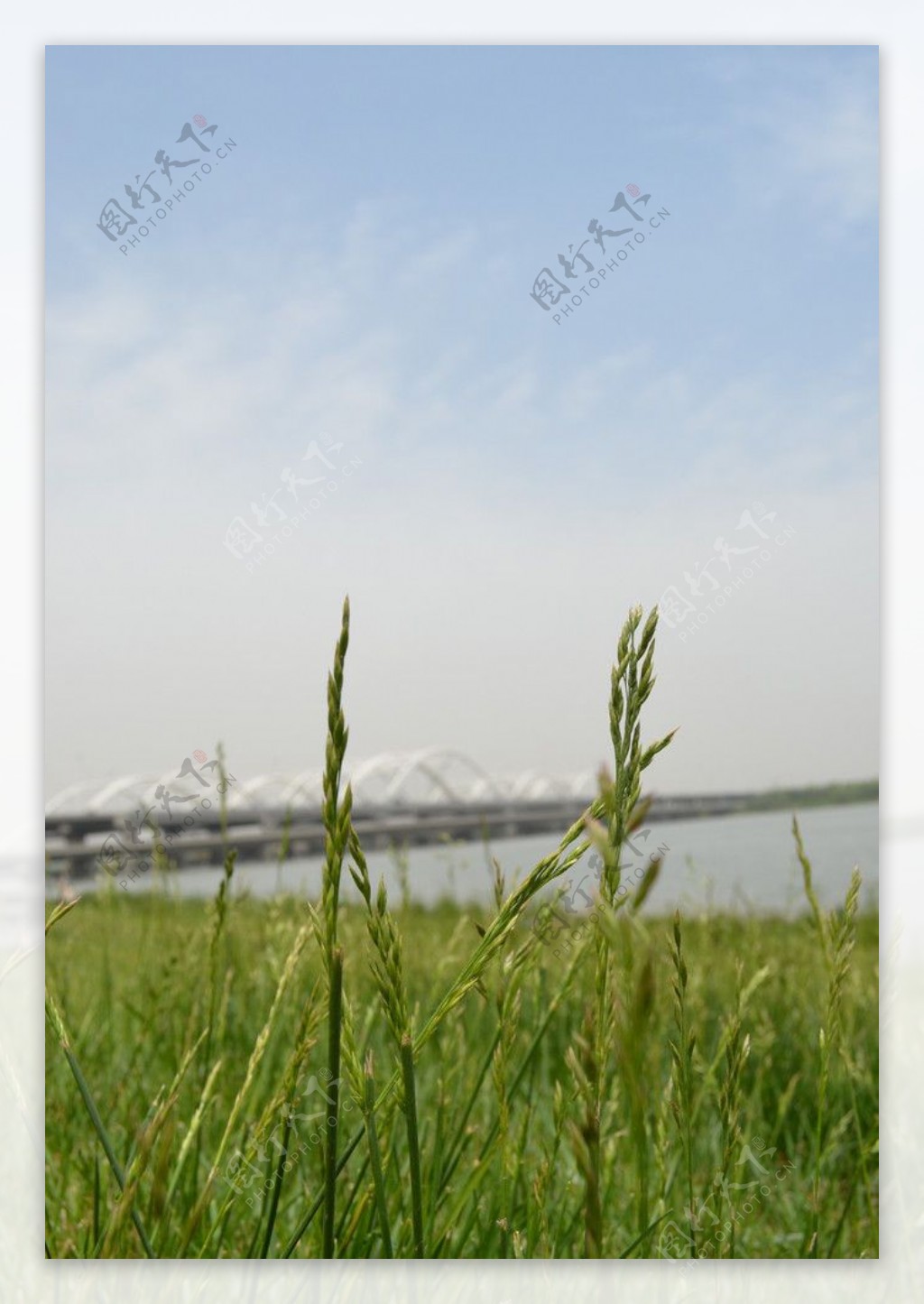 灞河特大桥图片