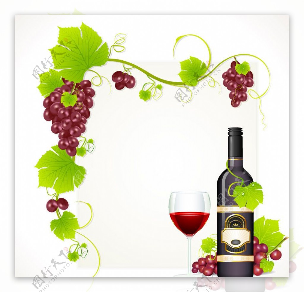 葡萄葡萄酒红酒背景图片