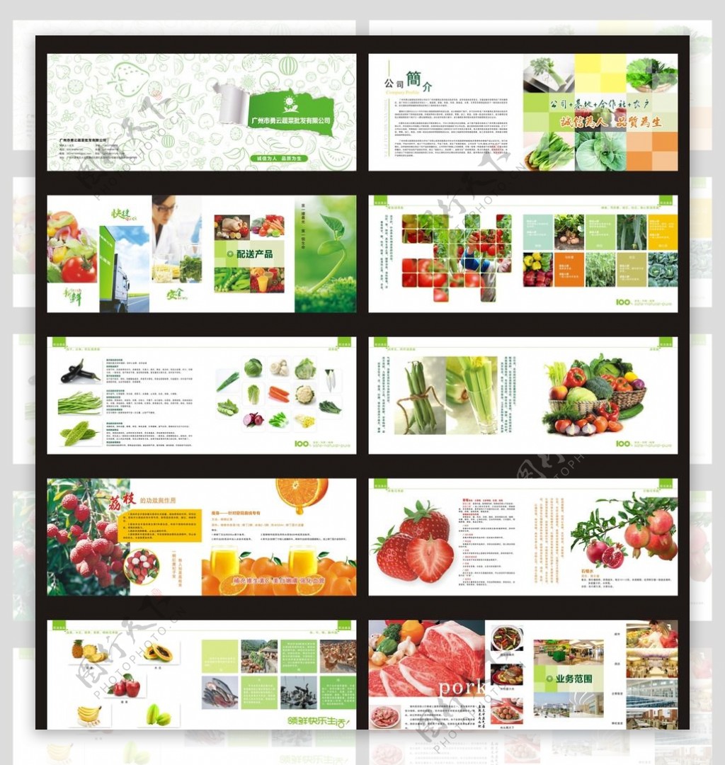 蔬菜水果肉类画册图片