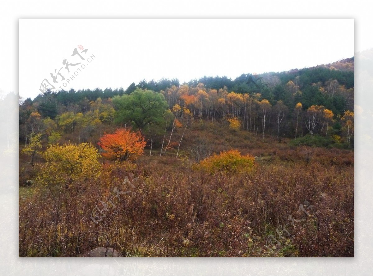 秋天山野图片