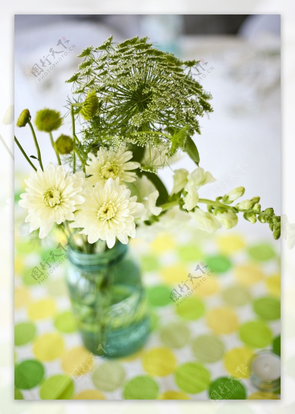 花艺插花鲜花菊花桌布圆点黄绿色调冷调图片