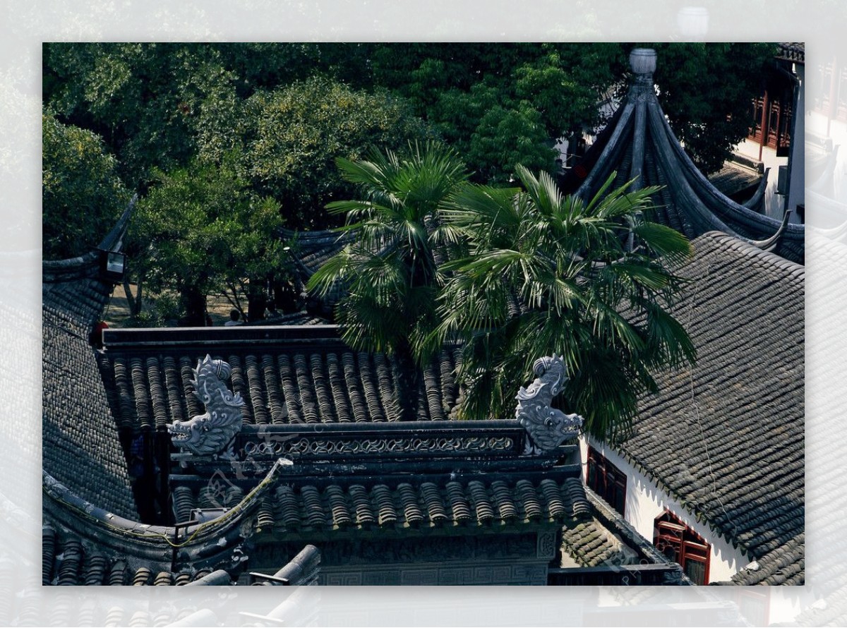 江苏苏州北寺塔寒山寺图片