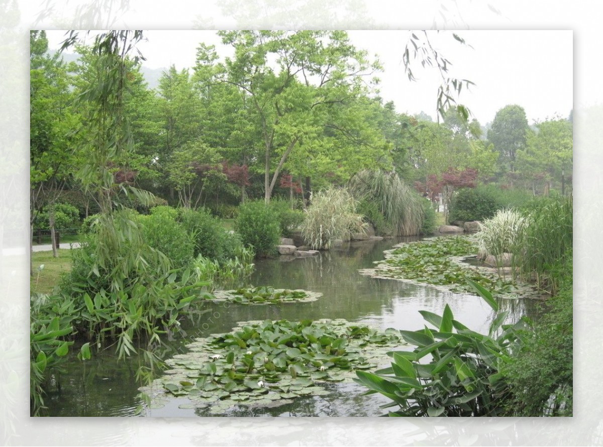 2009公园绿化金奖长桥溪公园图片