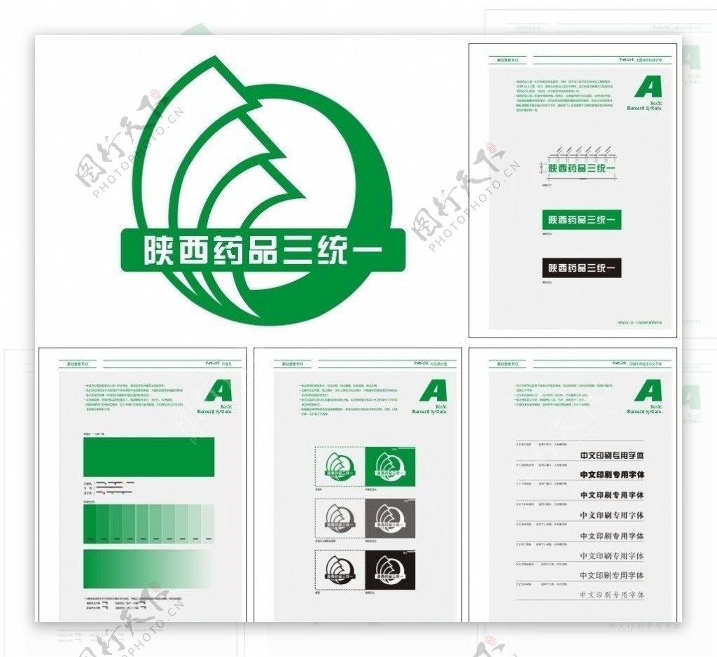 陕西药品三图片