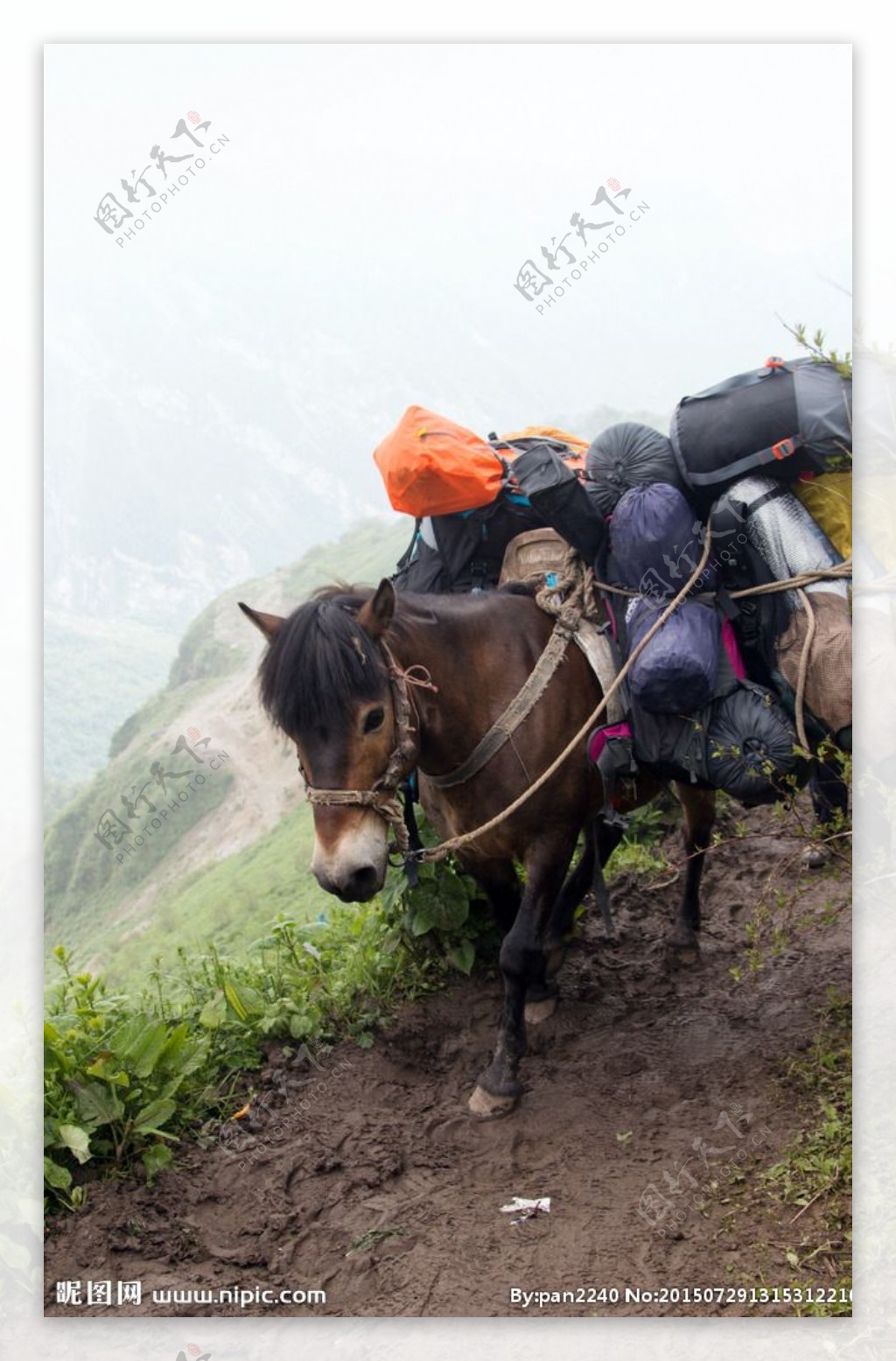 九顶山风光图片