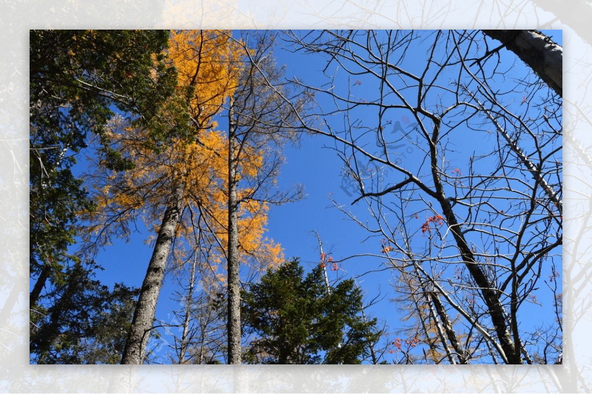 长白山风光图片