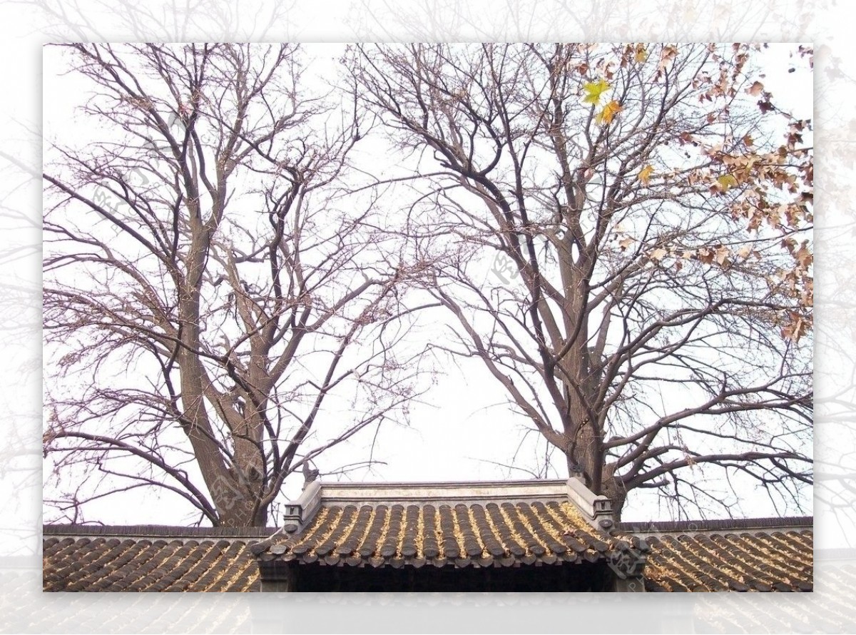 扬州史公祠屋顶图片