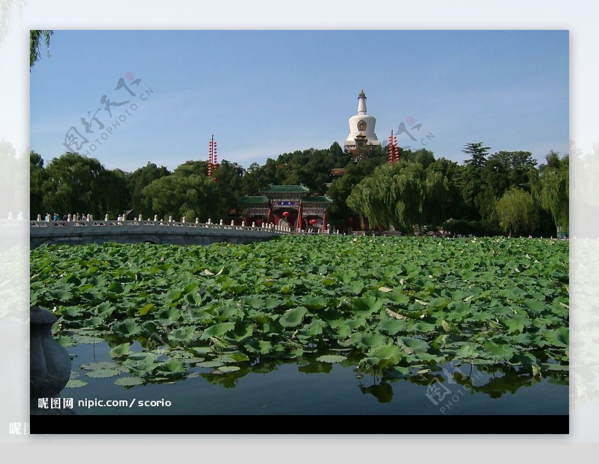 夏天的北京北海公园图片