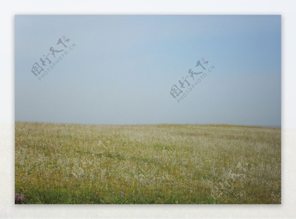 自然风景大草原图片
