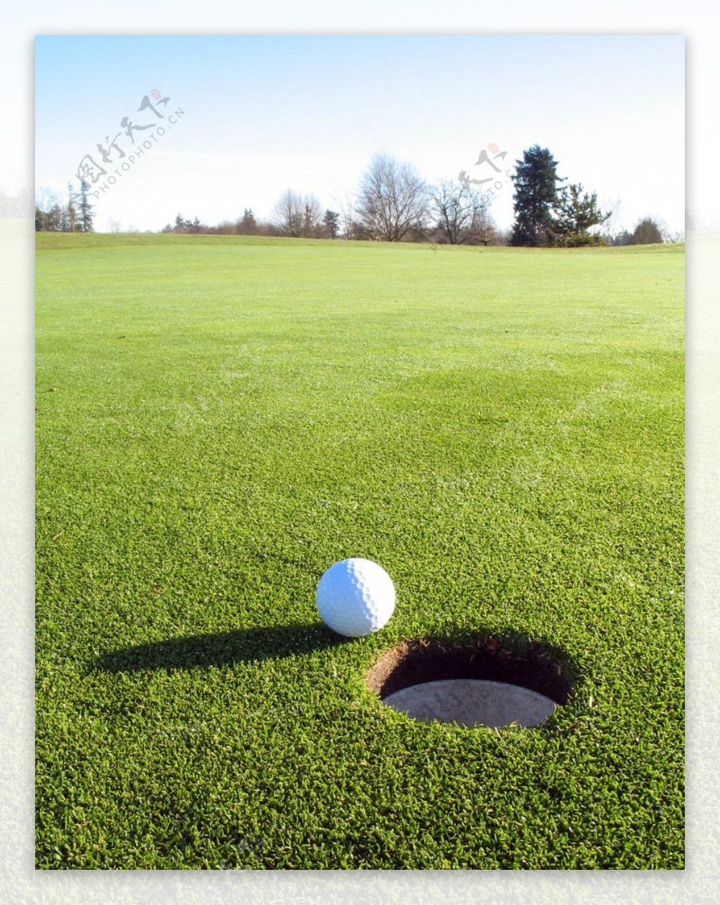 高尔夫球运动图片