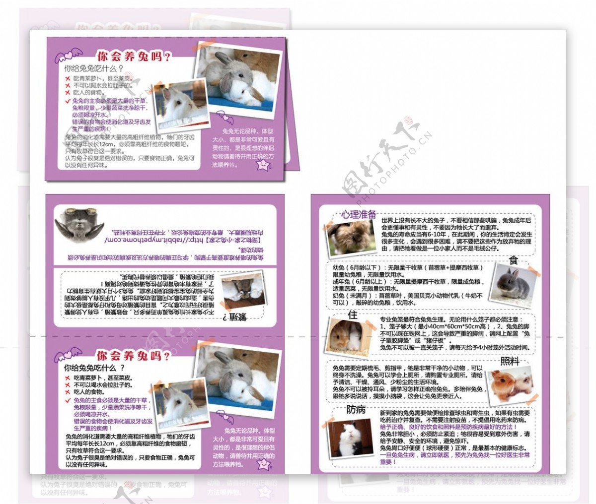 宠物公益宣传折页图片