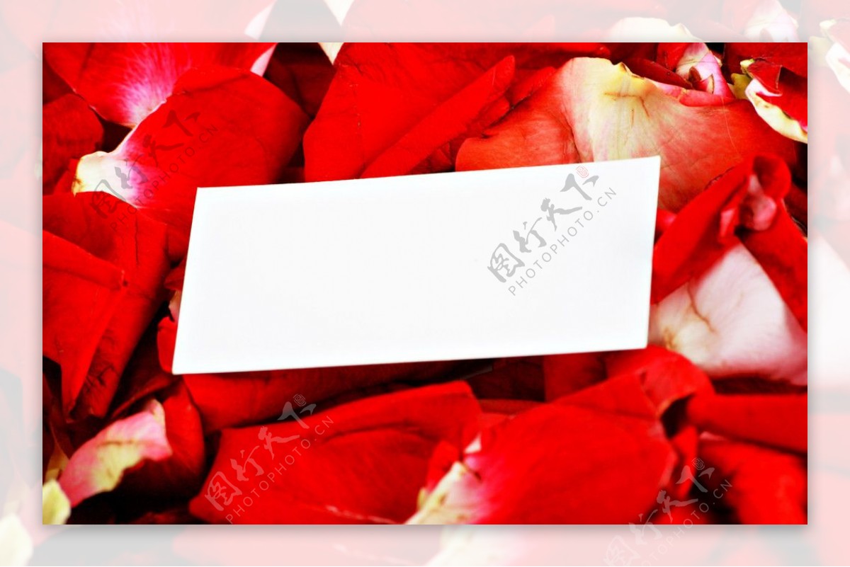 玫瑰花瓣爱情便签图片