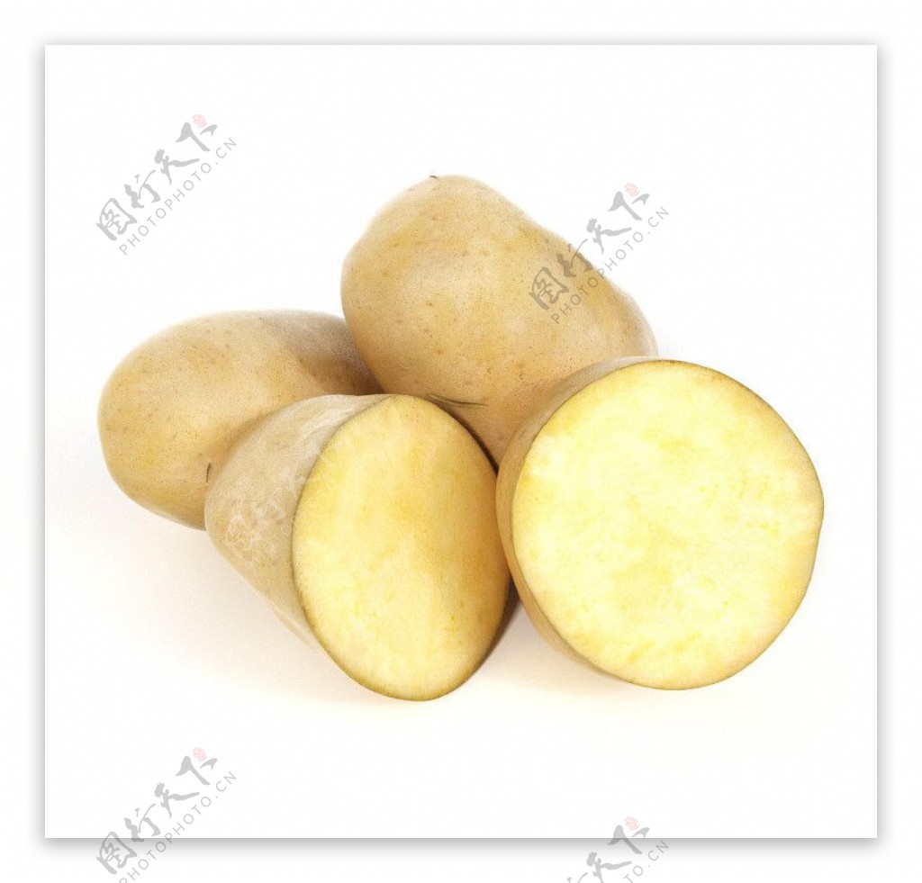 马铃薯土豆洋芋图片