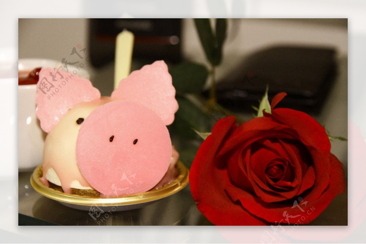 爱情猪猪玫瑰红红图片