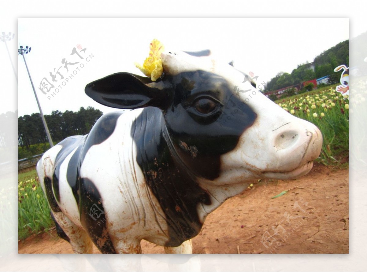 奶牛雕塑图片