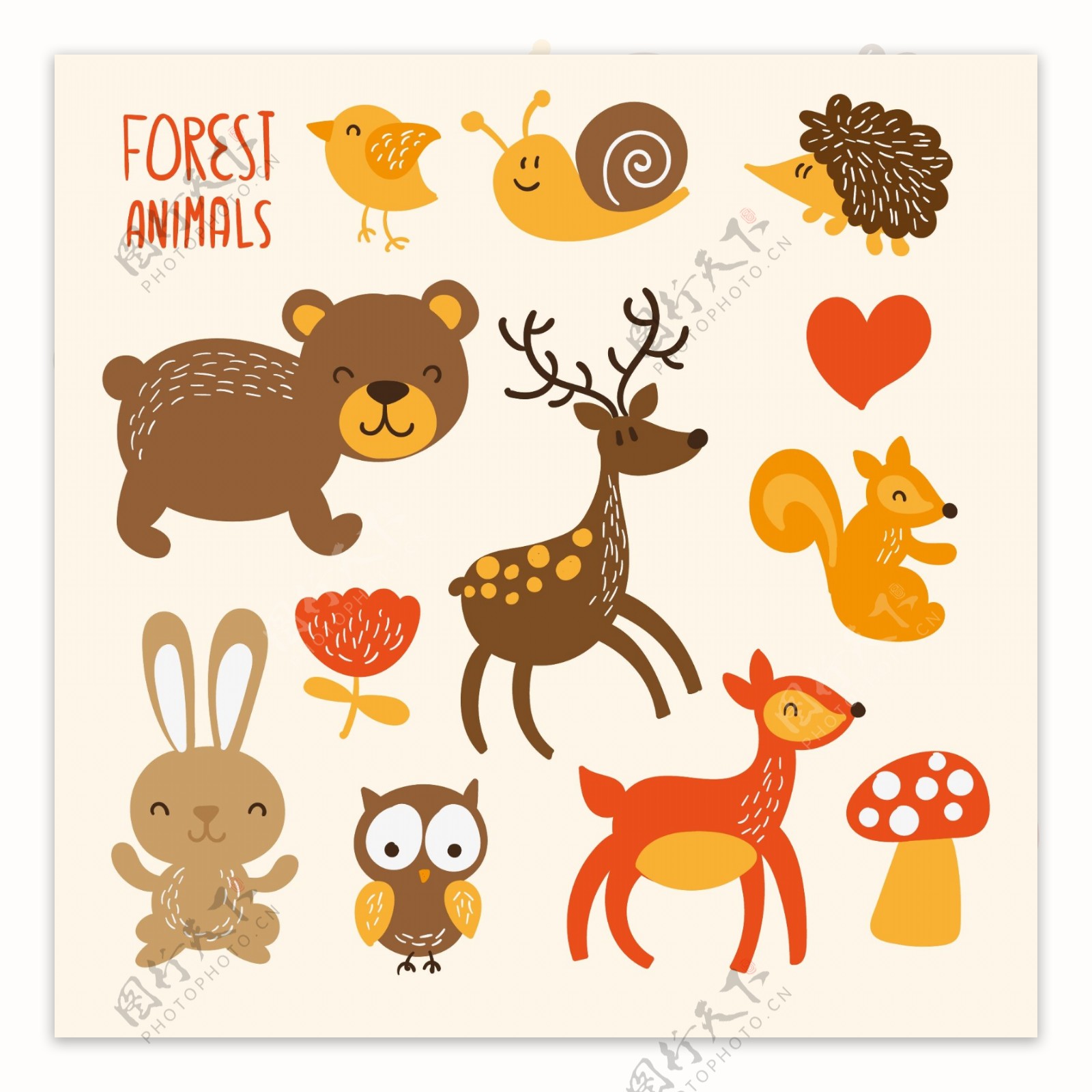 可爱的森林动物图片
