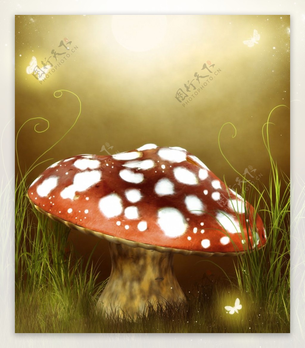 童话背景蘑菇图片