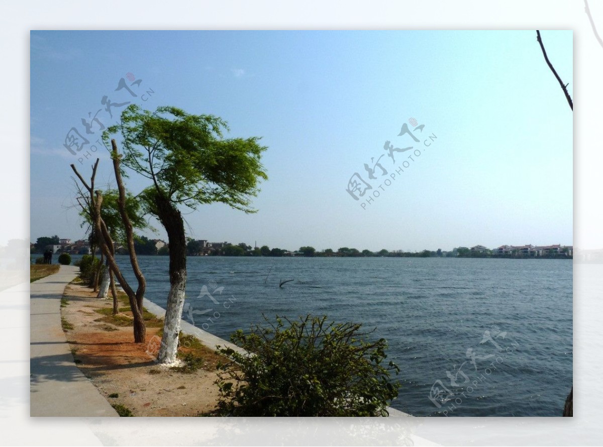 白塘公园湖边风景图片