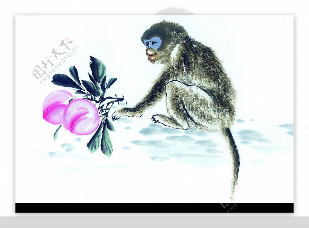 国画十二生肖猴图片