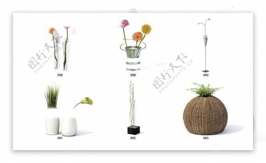 Vray高精度植物模型archmodel系列6图片