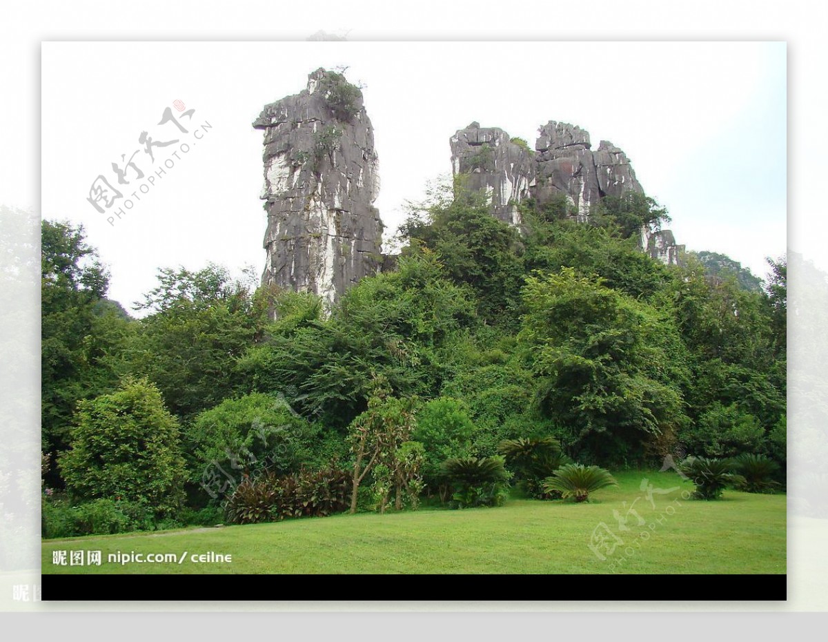 骆驼峰图片