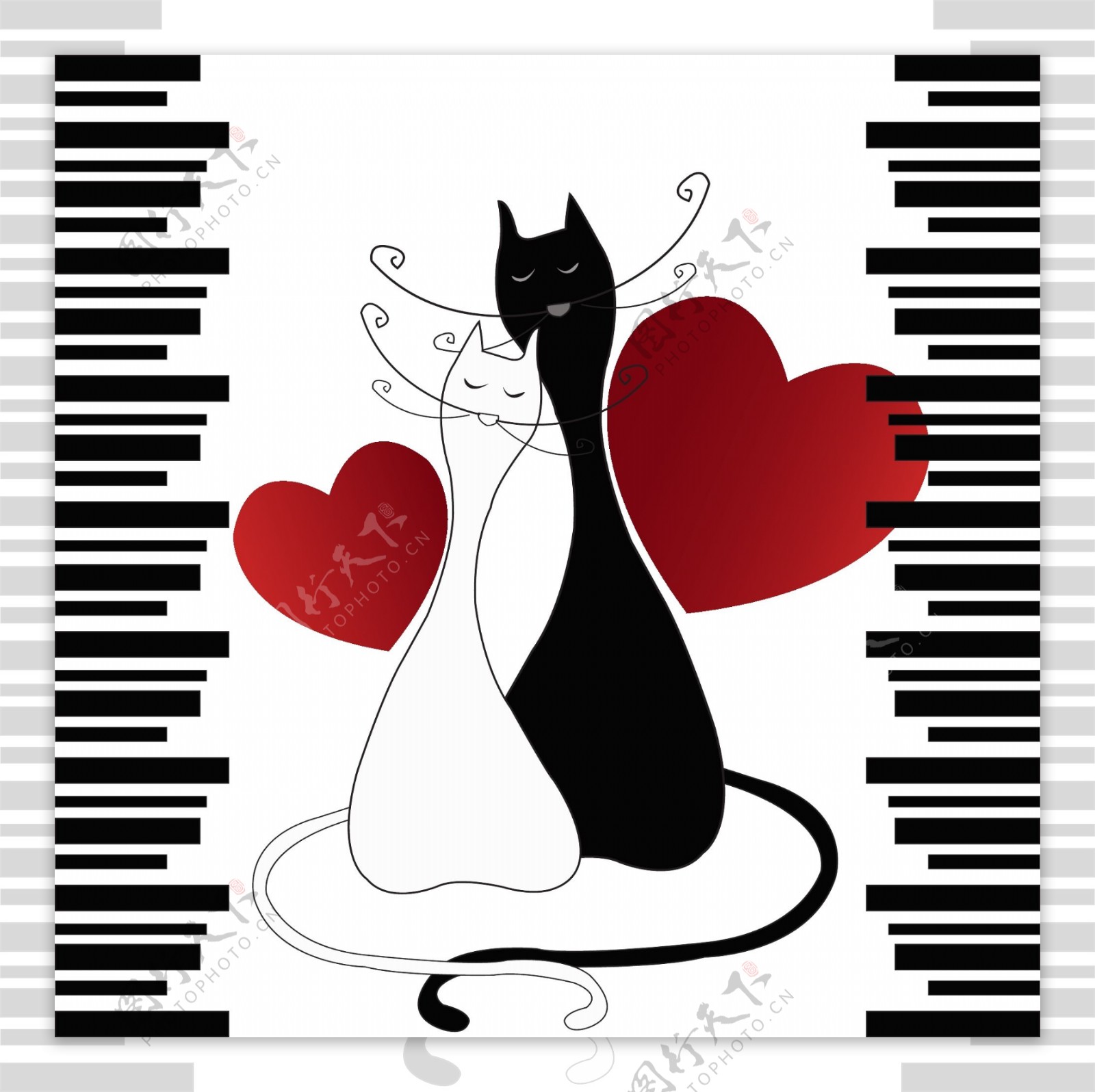 黑白猫咪情侣图片