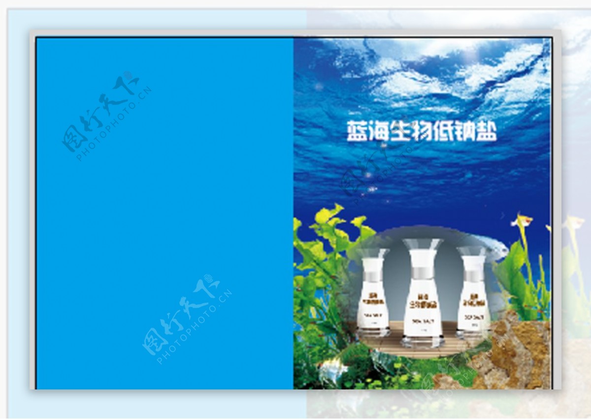蓝海生物低钠盐宣传手图片