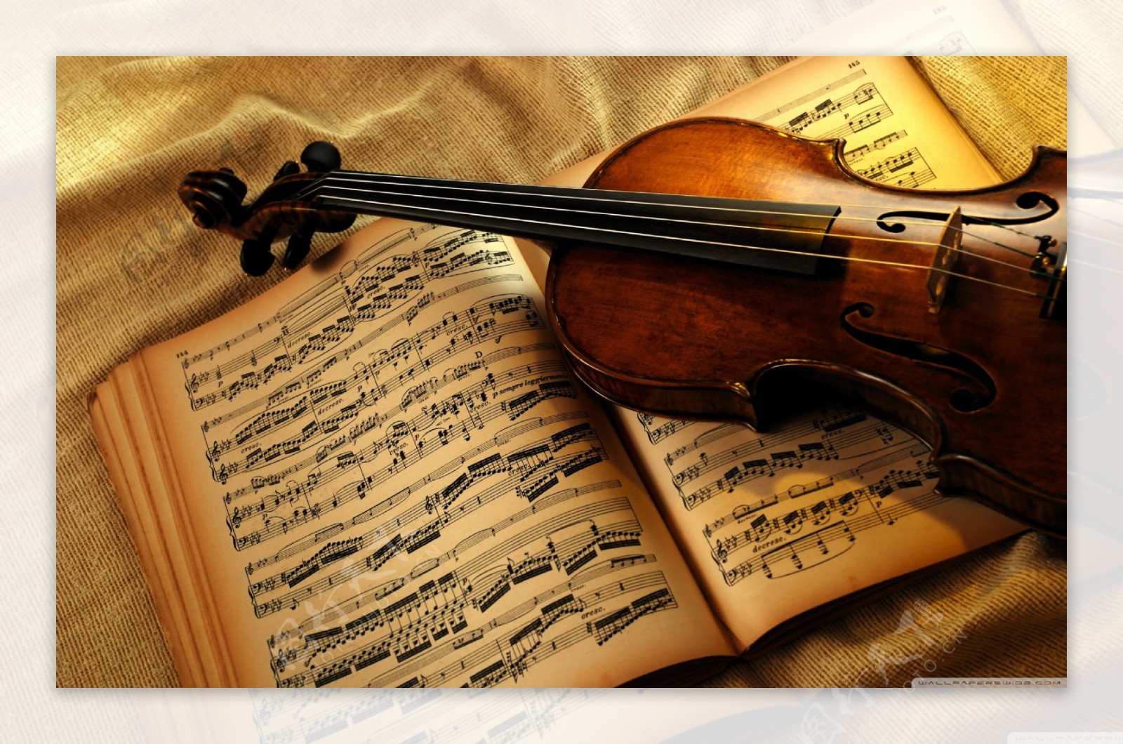 唯美乐谱小提琴图片