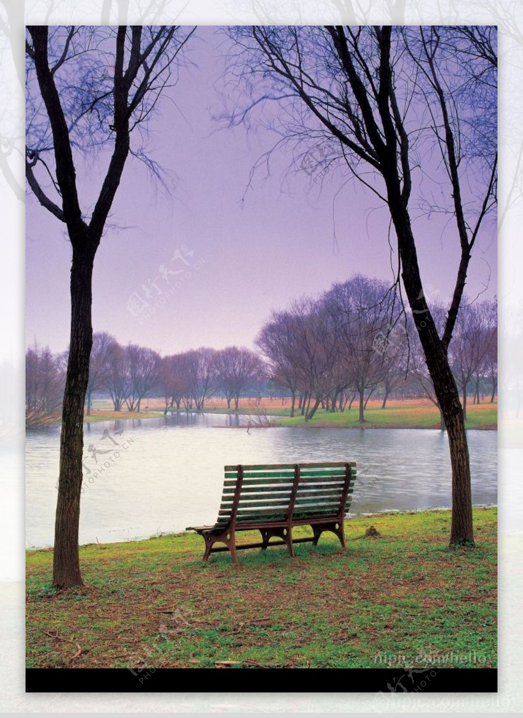 湖边草地上的椅子图片