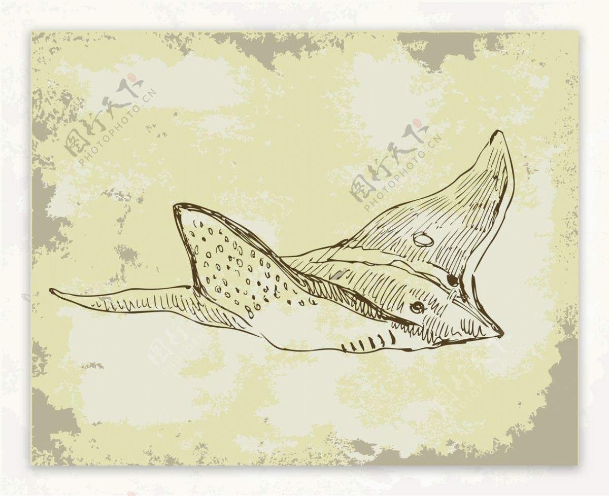 海洋系手绘图案之鱼图片