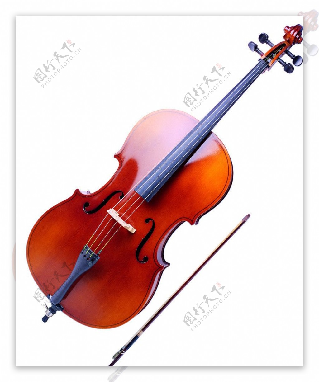 西式乐器小提琴图片